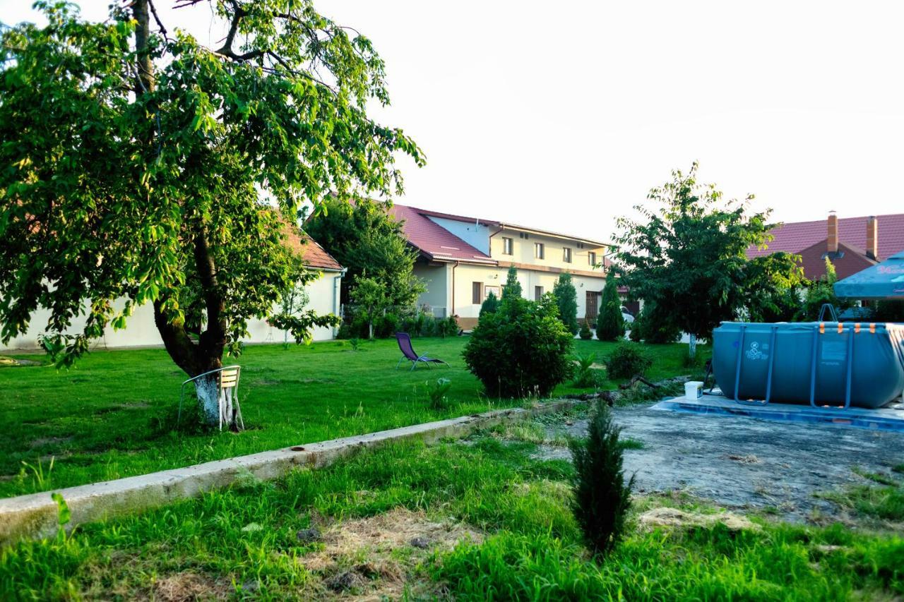 Pensiunea Marmis Riu Barbat Buitenkant foto